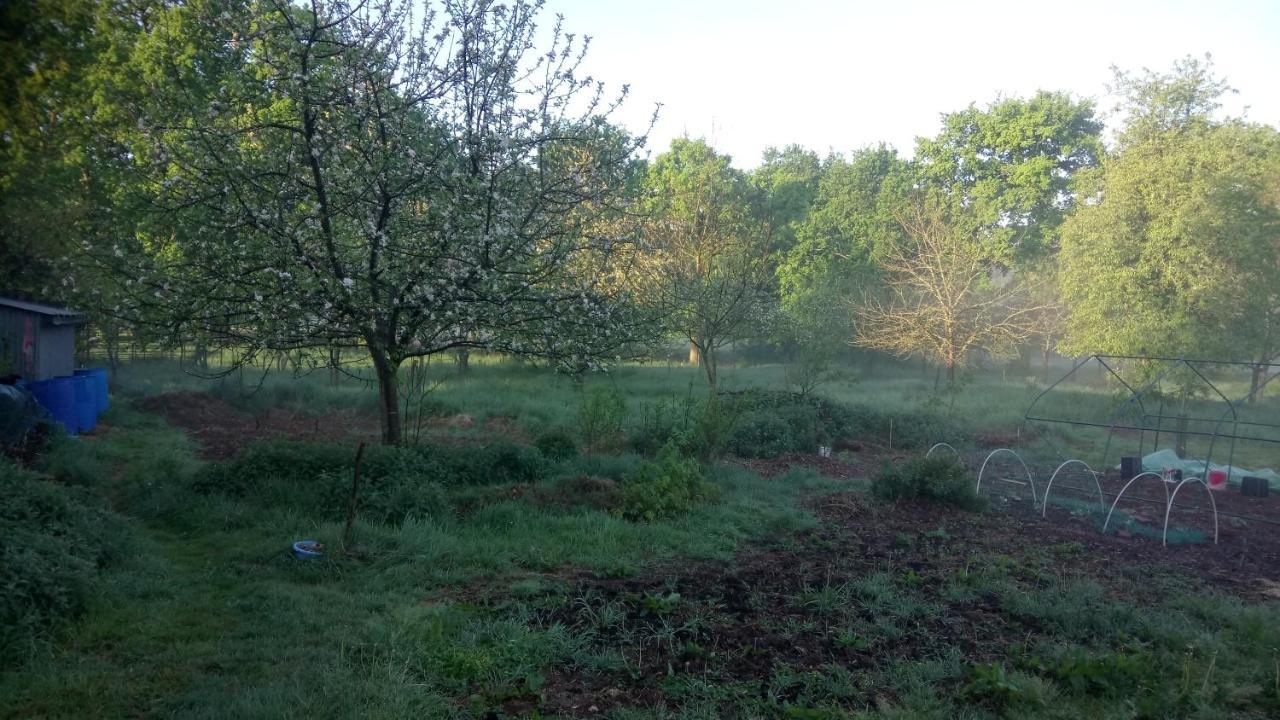 La Roulotte Chainoux Bains-sur-Oust Kültér fotó