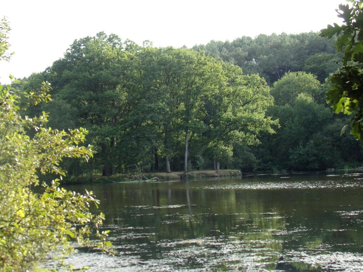 La Roulotte Chainoux Bains-sur-Oust Kültér fotó